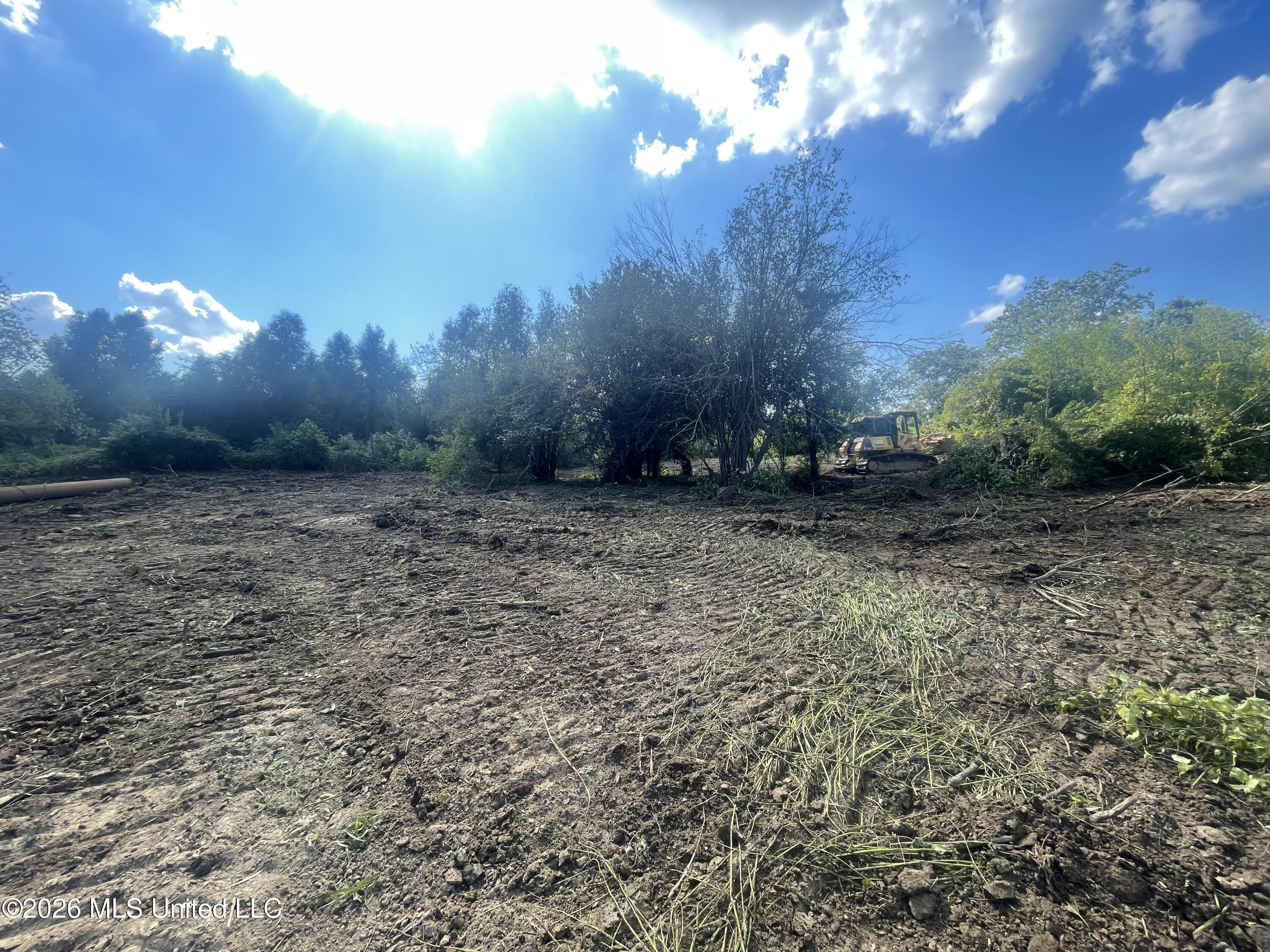 Old Twin Lake Road Redwood, MS 39156 - Photo 4 of 20 rw2