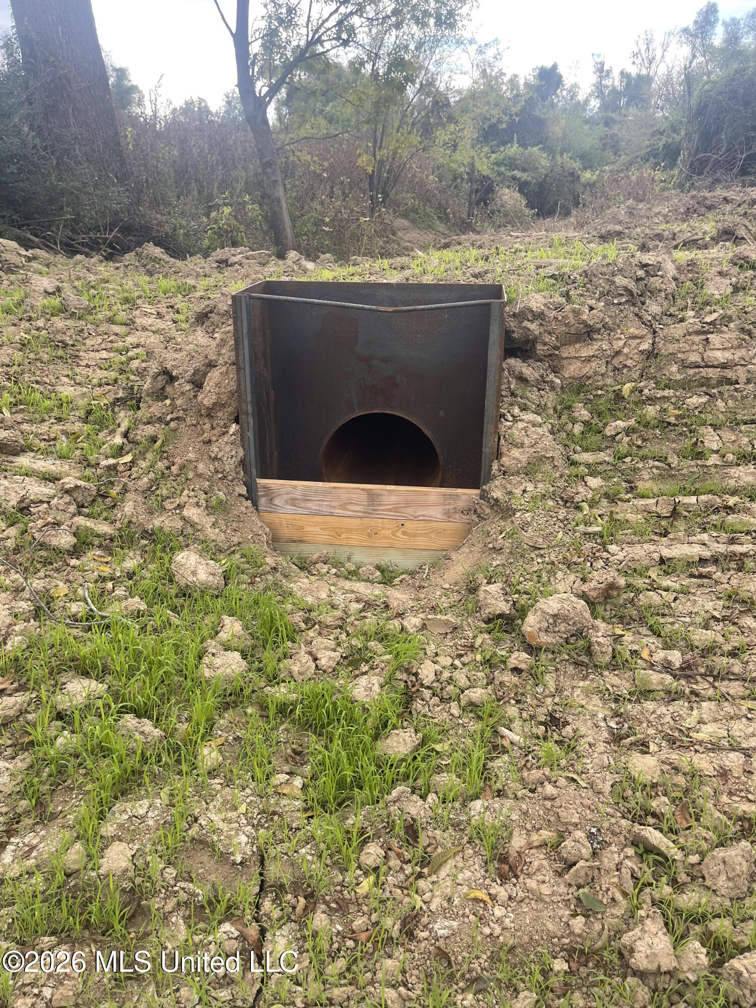 Old Twin Lake Road Redwood, MS 39156 - Photo 5 of 20 rw6