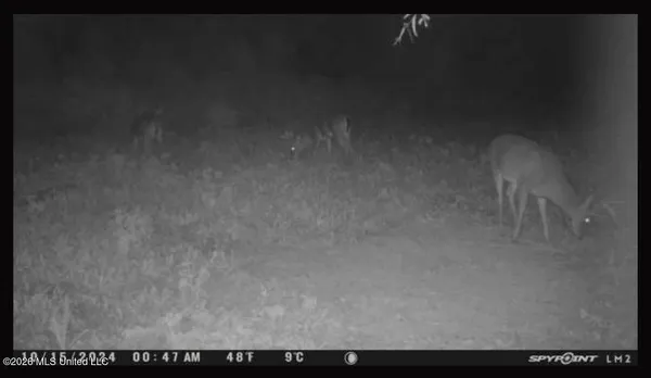 $100,000 | Old Twin Lake Road, Redwood, MS 39156