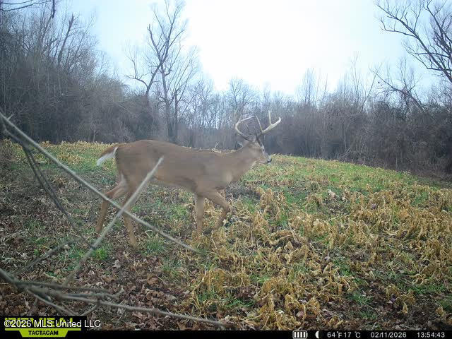 Old Twin Lake Road Redwood, MS 39156 - Photo 10 of 20 rw25