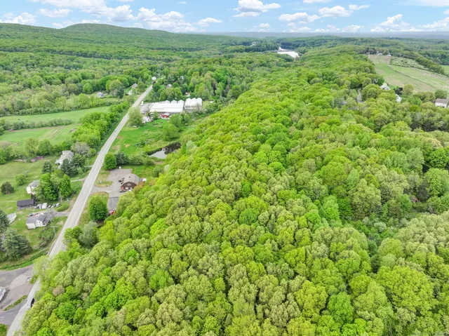 a view of a lush green field