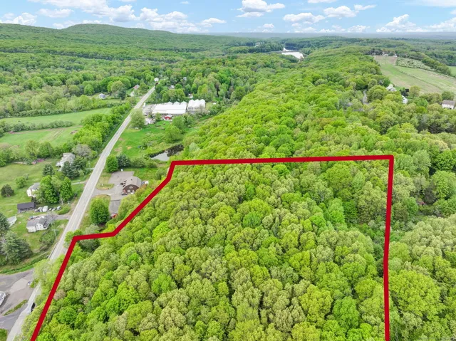 a view of a lush green field with plants in the background