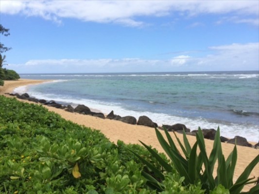 7224 Alamoo Road, Unit 2 Hanalei, HI 96714 - Photo 1 of 4 a view of an ocean and beach