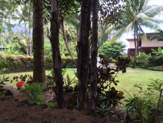 7224 Alamoo Road, Unit 2 Hanalei, HI 96714 - Photo 4 of 4 a view of an outdoor space