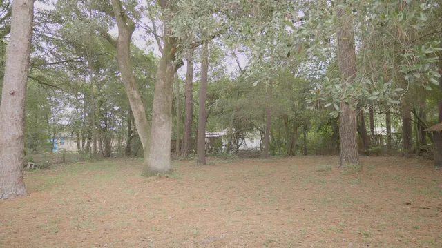 $189,000 | 109 Bishop Street, Walterboro, SC 29488