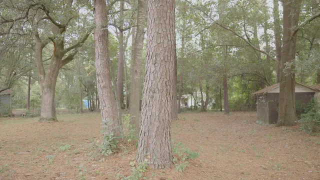 $189,000 | 109 Bishop Street, Walterboro, SC 29488