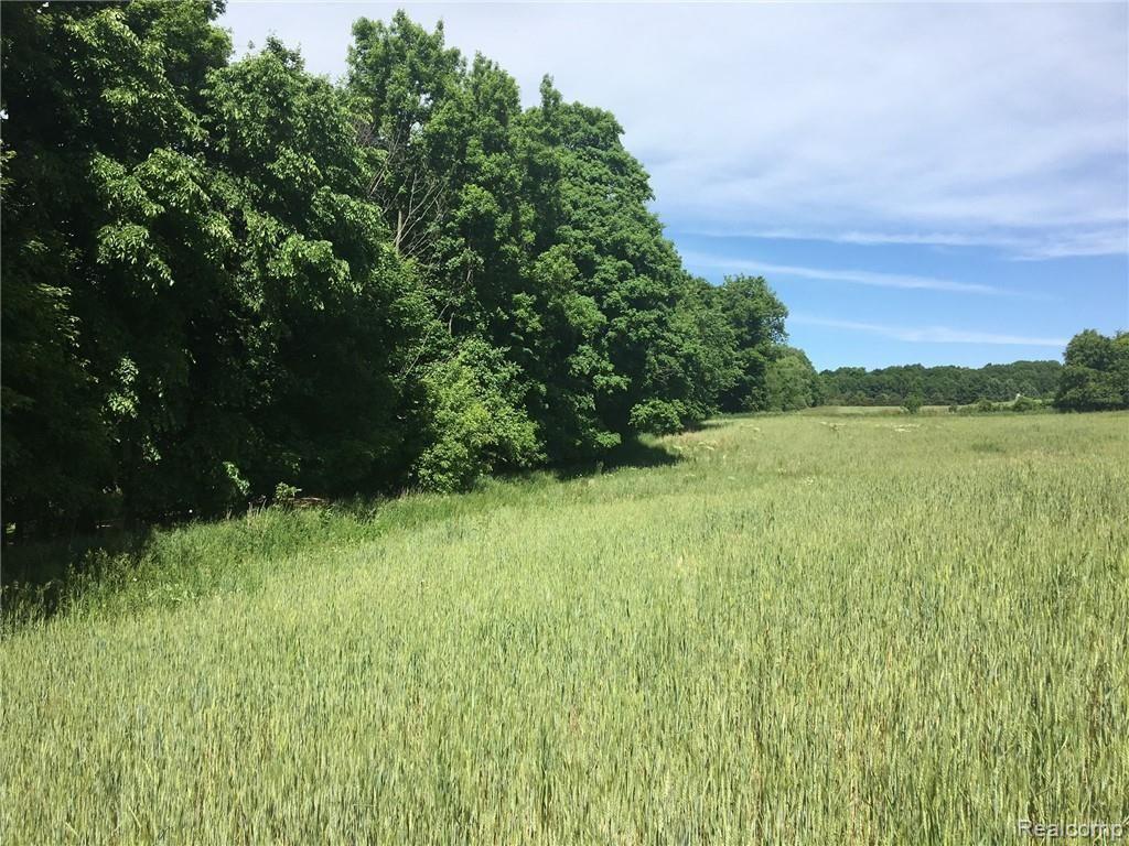 Parcel P Reynolds Road Imlay City, MI 48412 - Photo 3 of 7