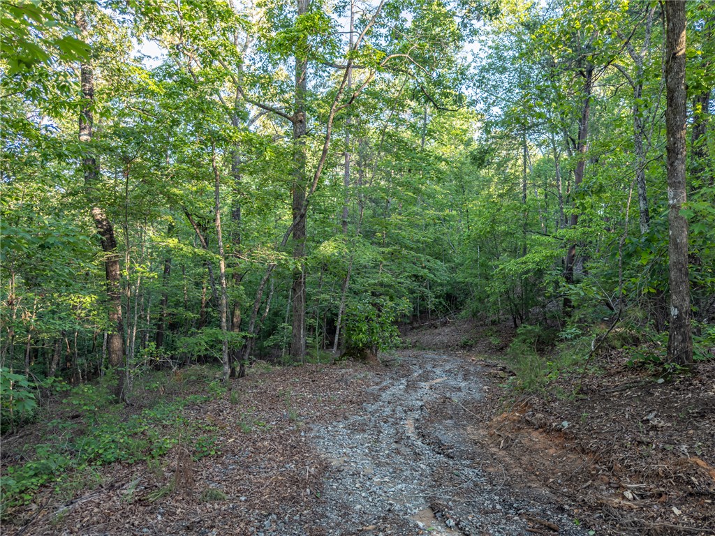Lot 22 Old Shallowford Bridge Road Sunset, SC 29685 - Photo 7 of 16