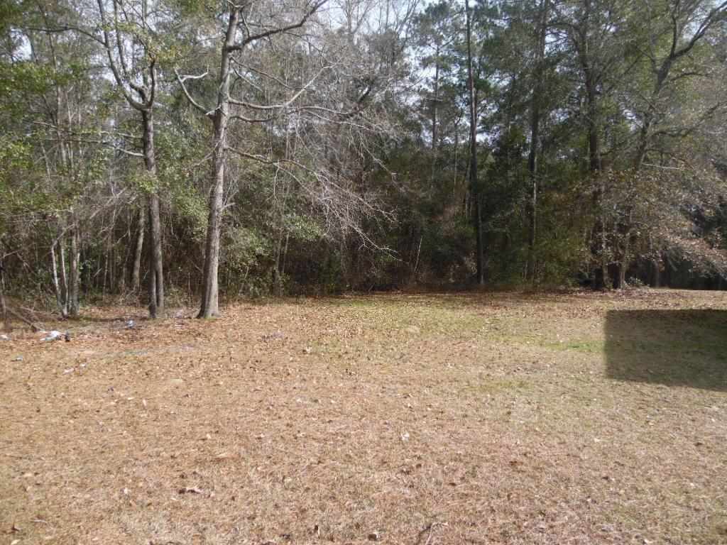 1462 Post Plant Road Quincy, FL 32352 - Photo 1 of 11 Gallery Image 1