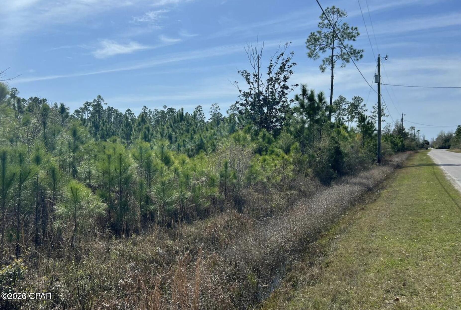 12816 Piercy Road Panama City, FL 32404 - Photo 2 of 4