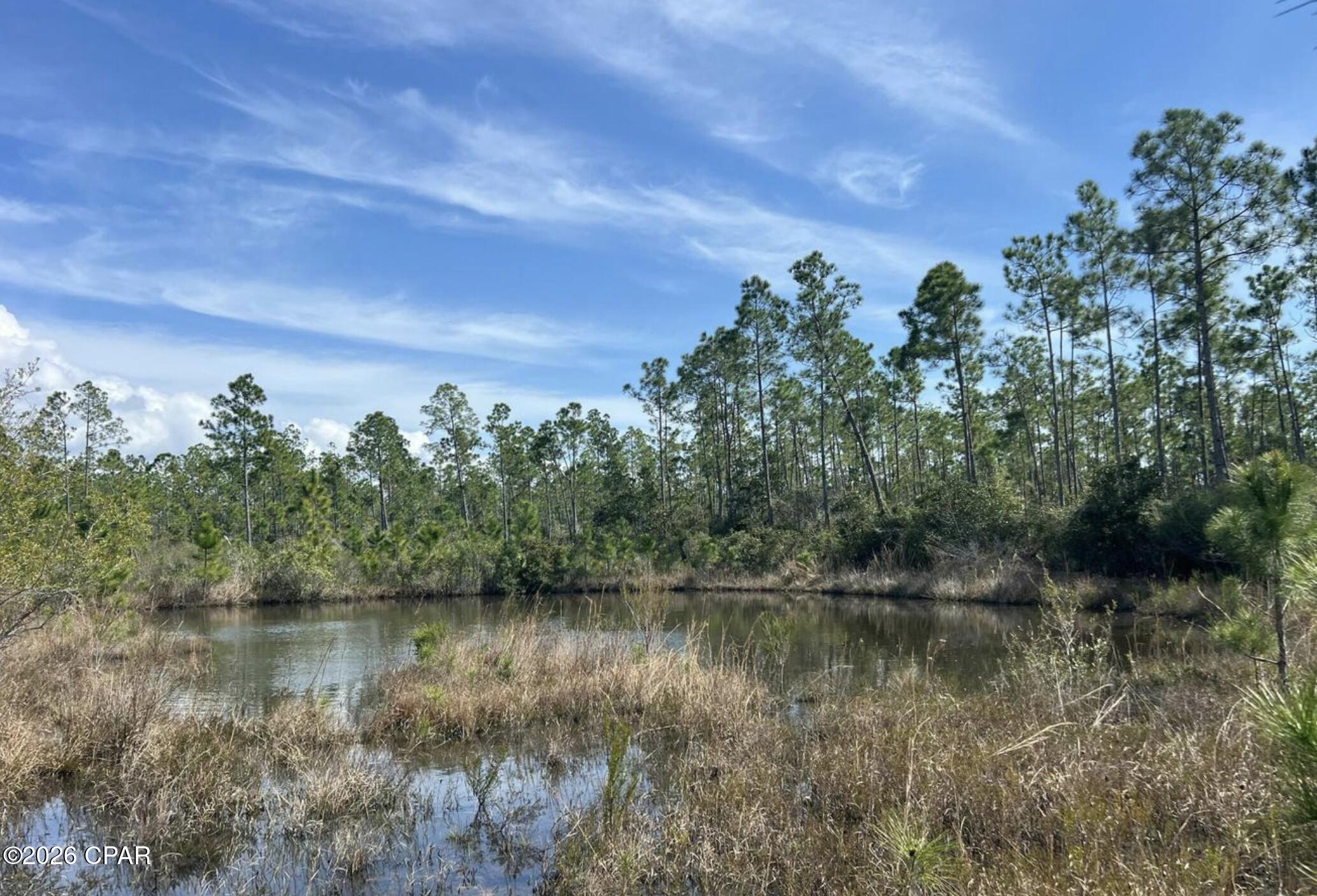 12816 Piercy Road Panama City, FL 32404 - Photo 3 of 4