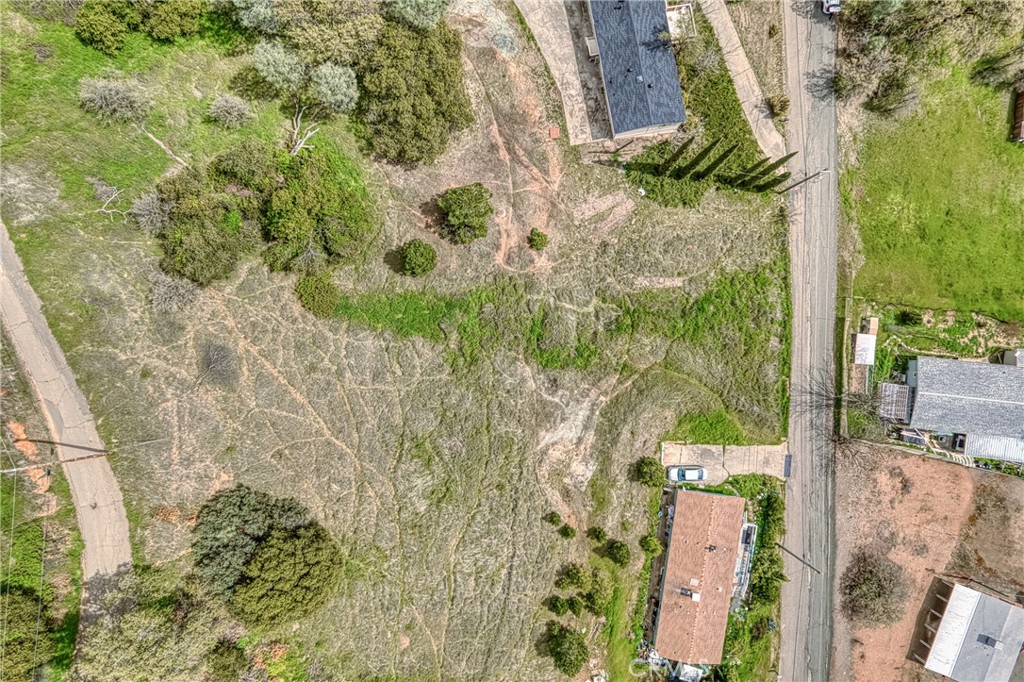 7037 Butte Street Nice, CA 95464 - Photo 4 of 16 a view of a yard with plants