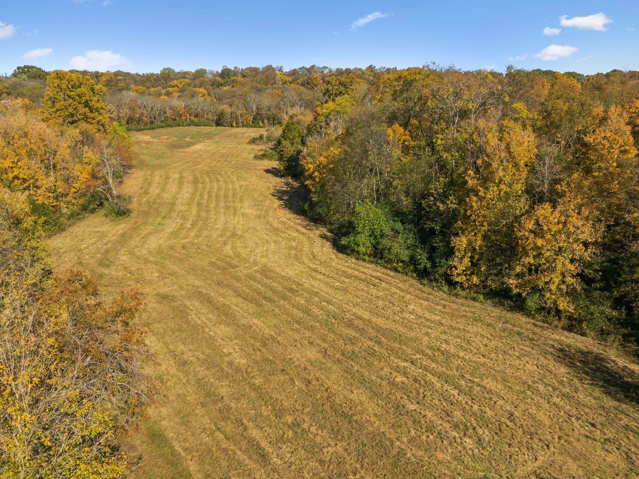 4 C Stephens Road Columbia, TN 38401 - Photo 15 of 16