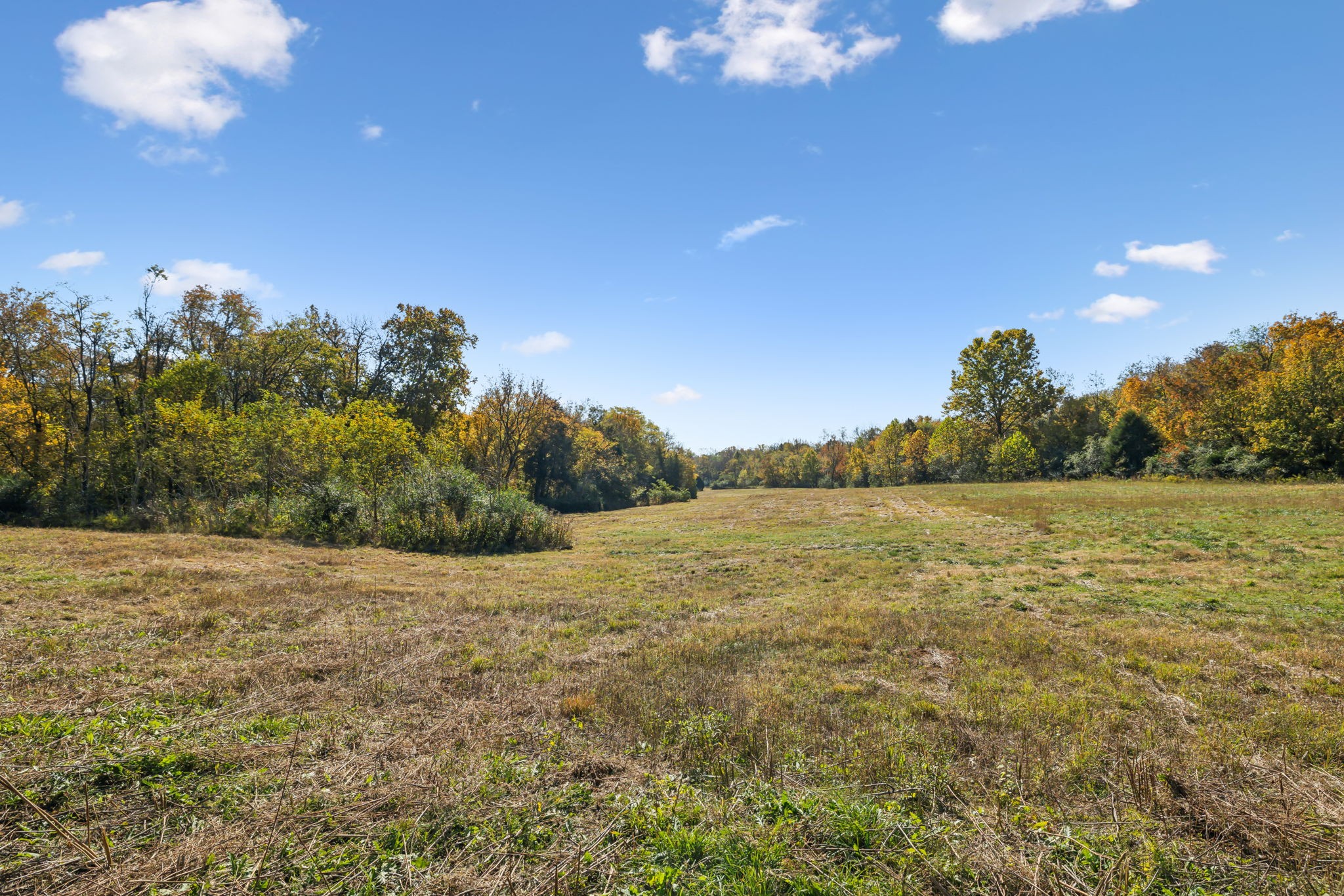 4 C Stephens Road Columbia, TN 38401 - Photo 4 of 16