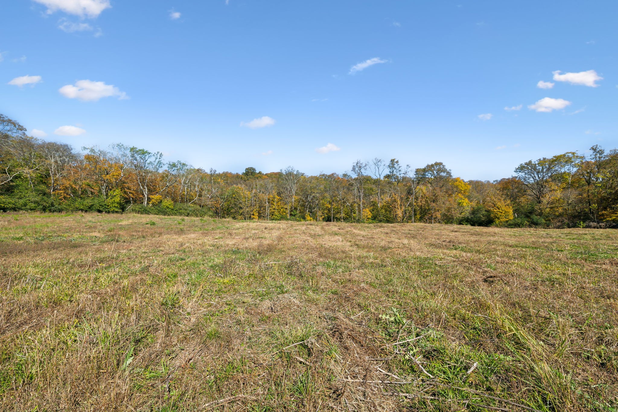 4 C Stephens Road Columbia, TN 38401 - Photo 5 of 16
