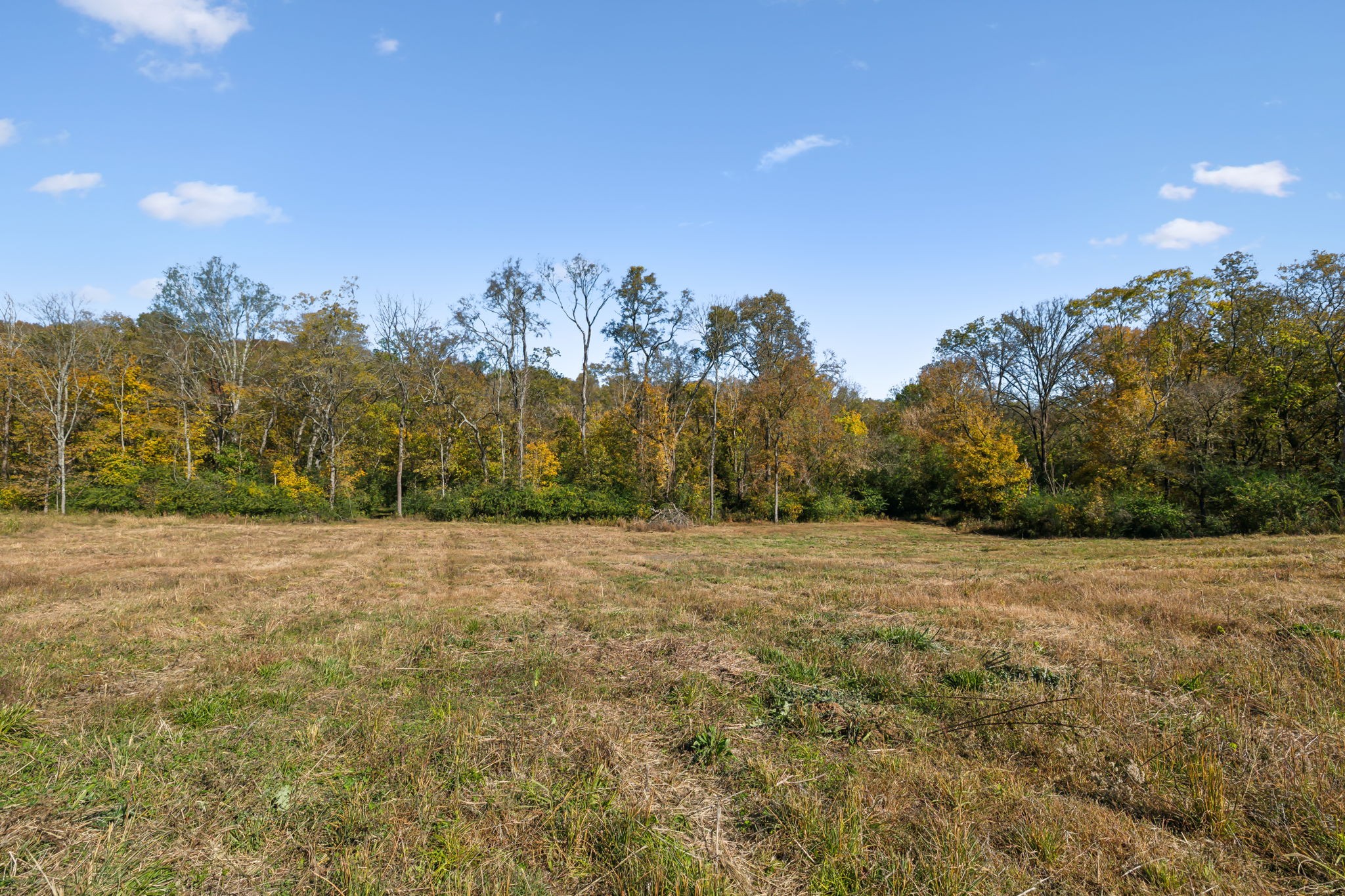 4 C Stephens Road Columbia, TN 38401 - Photo 6 of 16