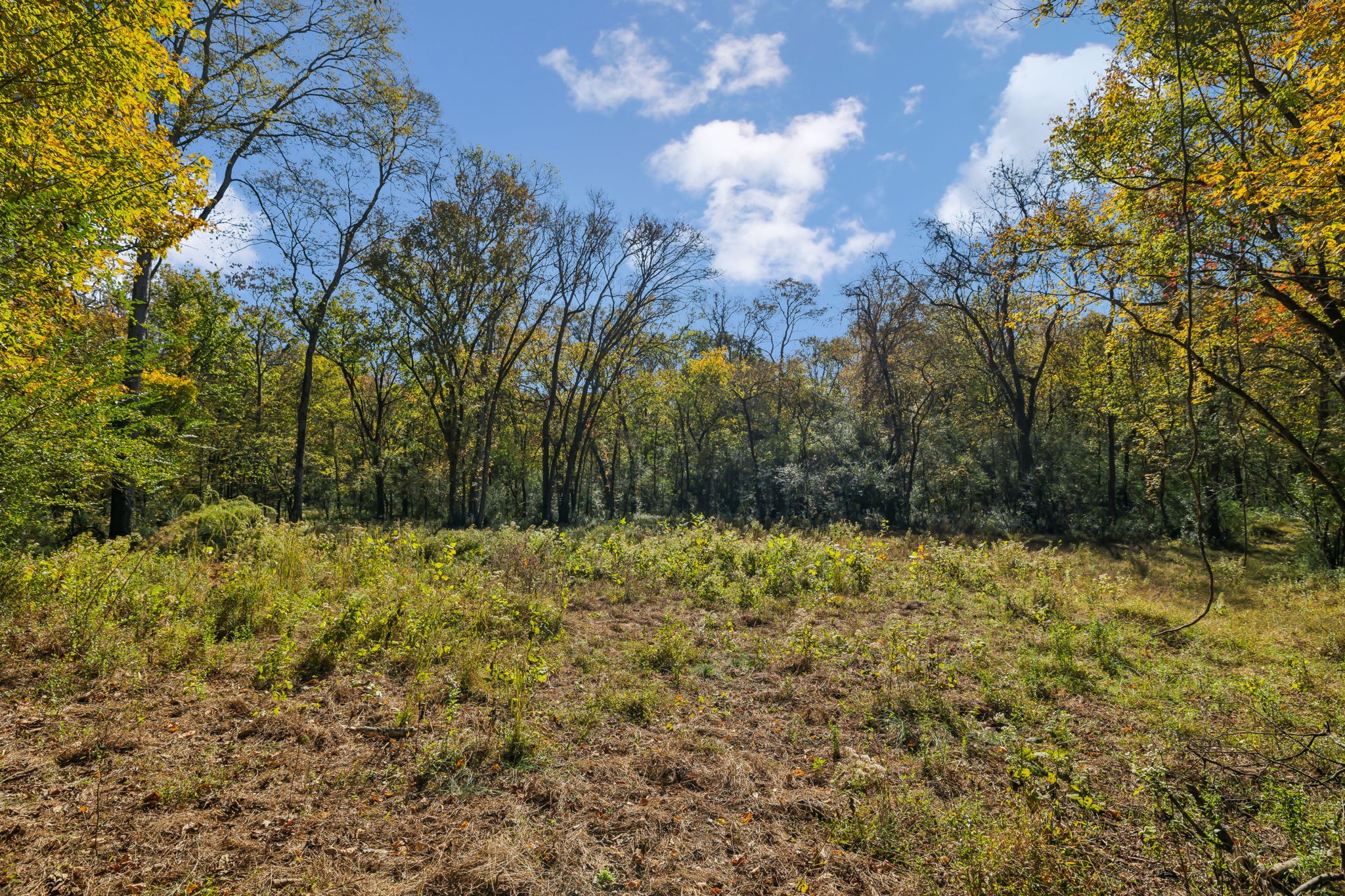 4 C Stephens Road Columbia, TN 38401 - Photo 7 of 16
