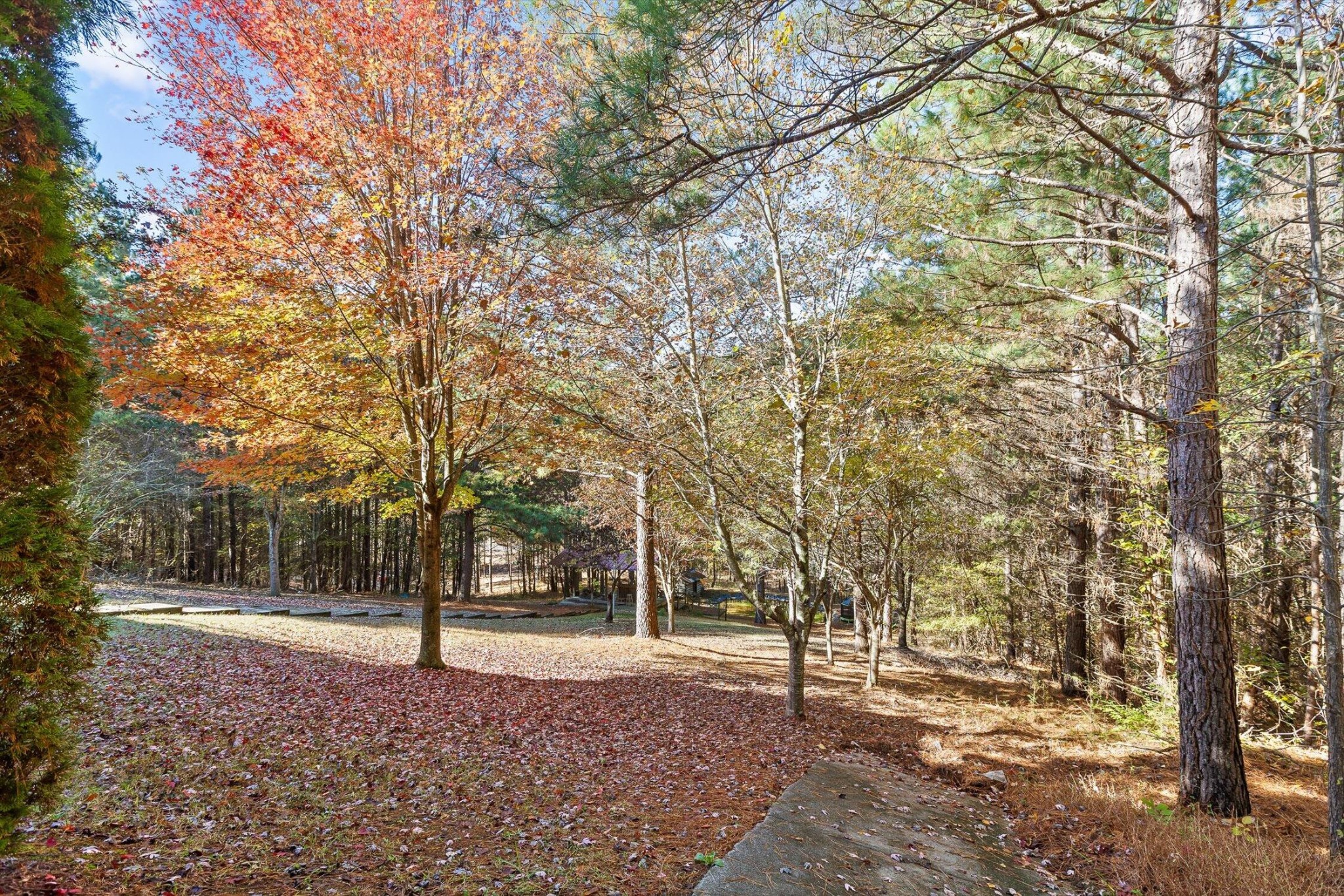 161155 Cherokee Ridge Drive Ocoee, TN 37361 - Photo 49 of 72