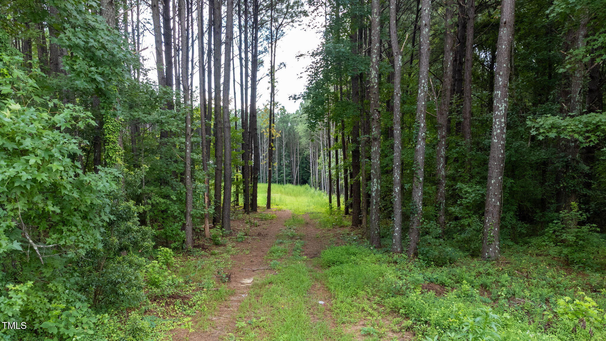 176 Dogeye Road Benson, NC 27504 - Photo 12 of 19 12-web-or-mls-DJI_0810-HDRRE