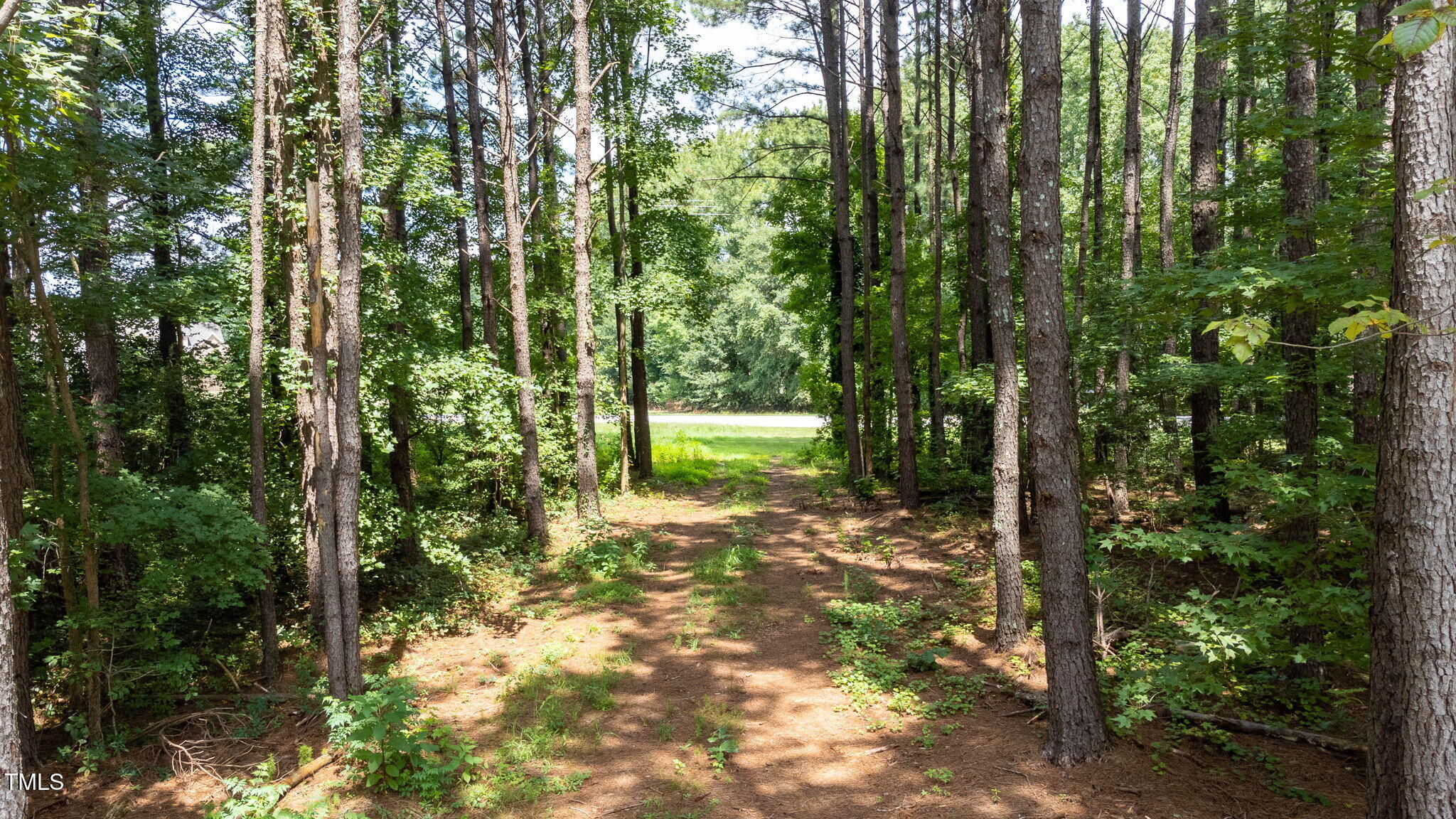 176 Dogeye Road Benson, NC 27504 - Photo 13 of 19 19-web-or-mls-DJI_0831-HDRRE