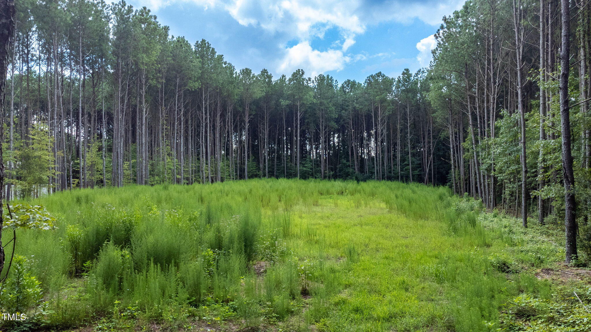 176 Dogeye Road Benson, NC 27504 - Photo 14 of 19 13-web-or-mls-DJI_0813-HDRRE