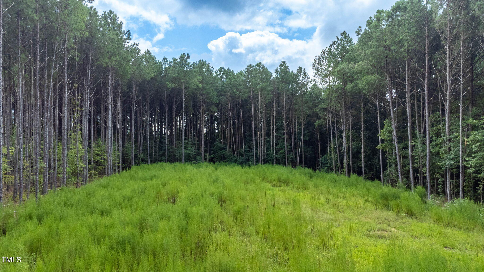 176 Dogeye Road Benson, NC 27504 - Photo 15 of 19 14-web-or-mls-DJI_0816-HDR