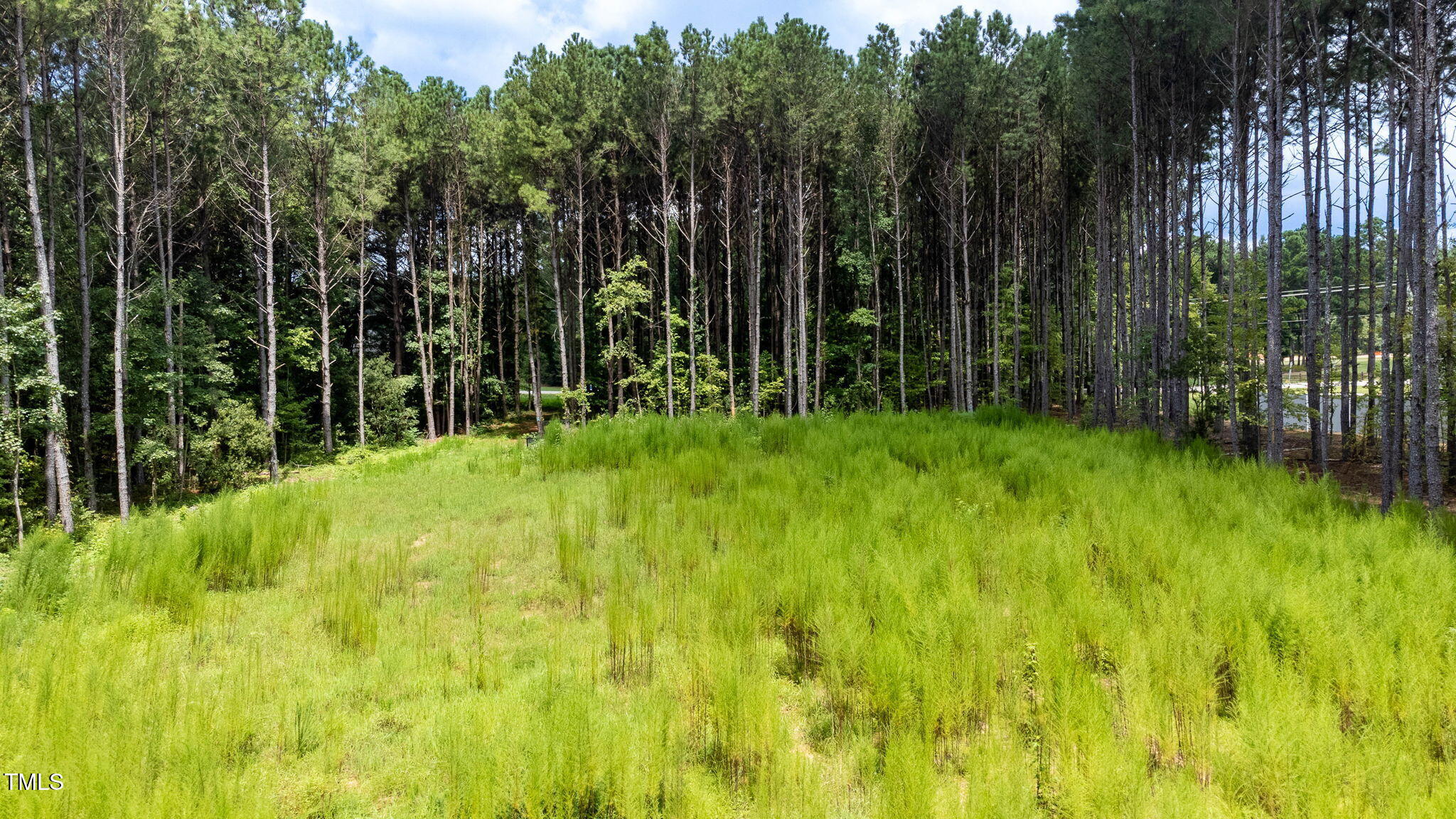 176 Dogeye Road Benson, NC 27504 - Photo 16 of 19 15-web-or-mls-DJI_0819-HDR