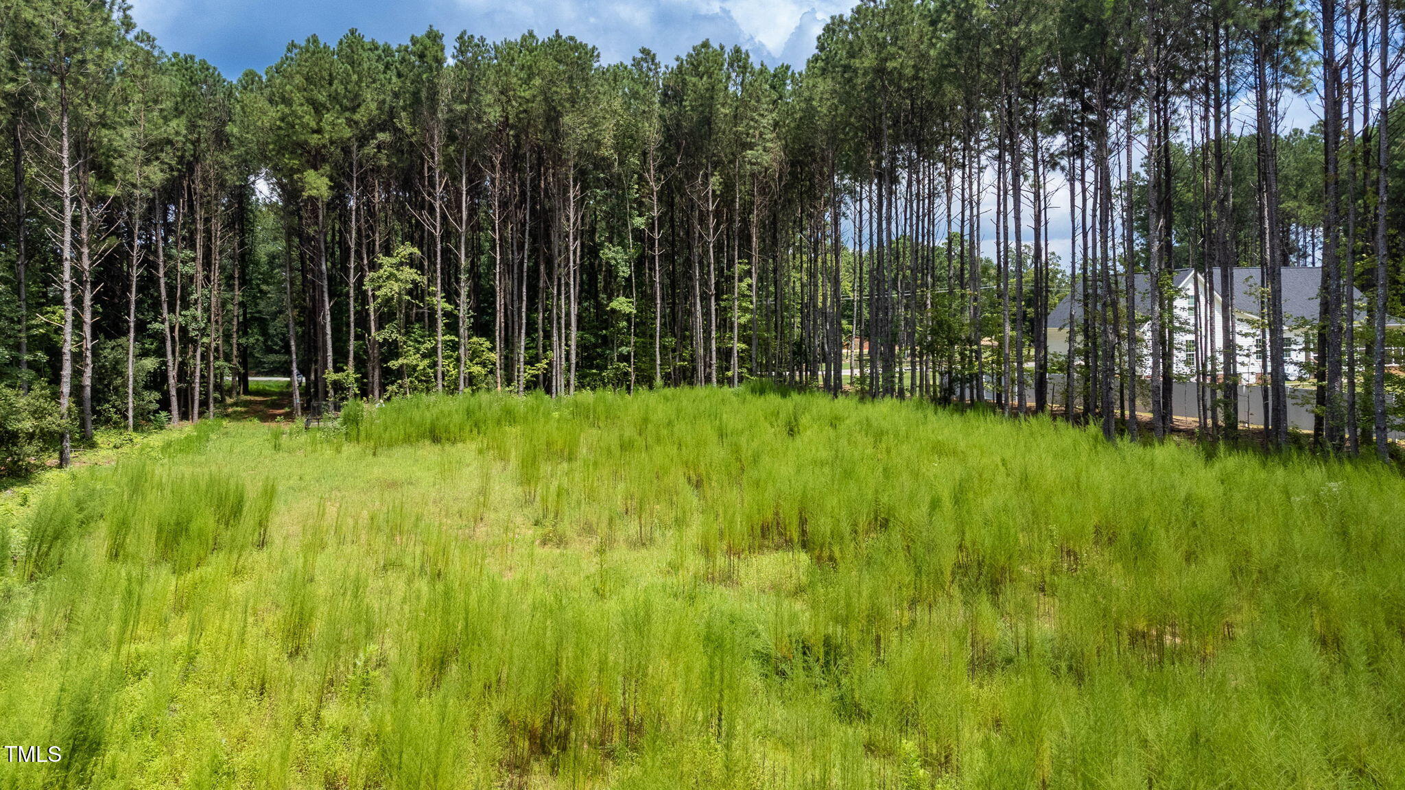176 Dogeye Road Benson, NC 27504 - Photo 17 of 19 16-web-or-mls-DJI_0822-HDRRE