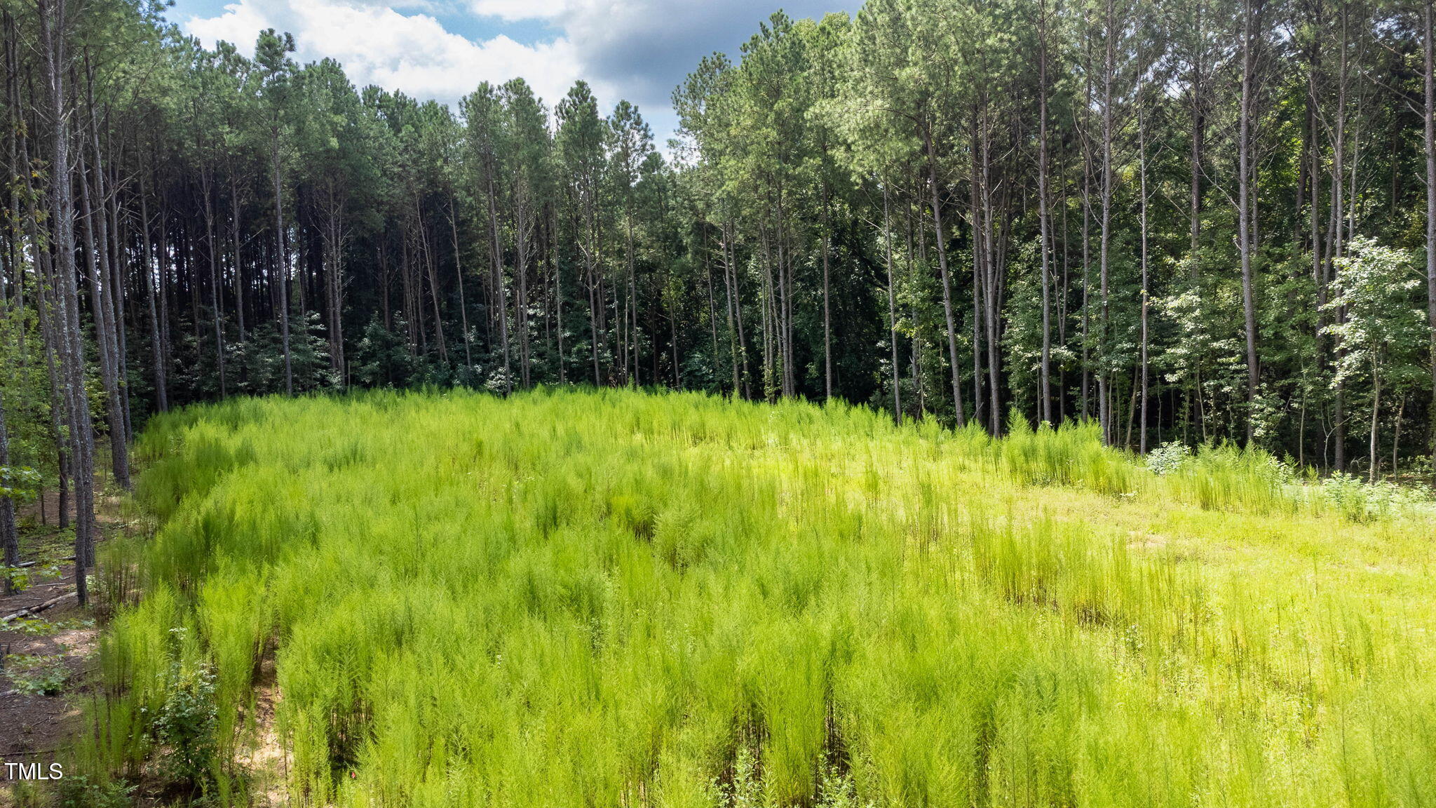 176 Dogeye Road Benson, NC 27504 - Photo 18 of 19 17-web-or-mls-DJI_0825-HDR