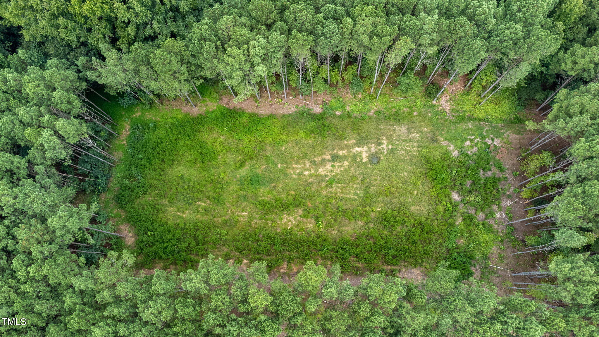 176 Dogeye Road Benson, NC 27504 - Photo 8 of 19 8-web-or-mls-DJI_0798-HDRRE