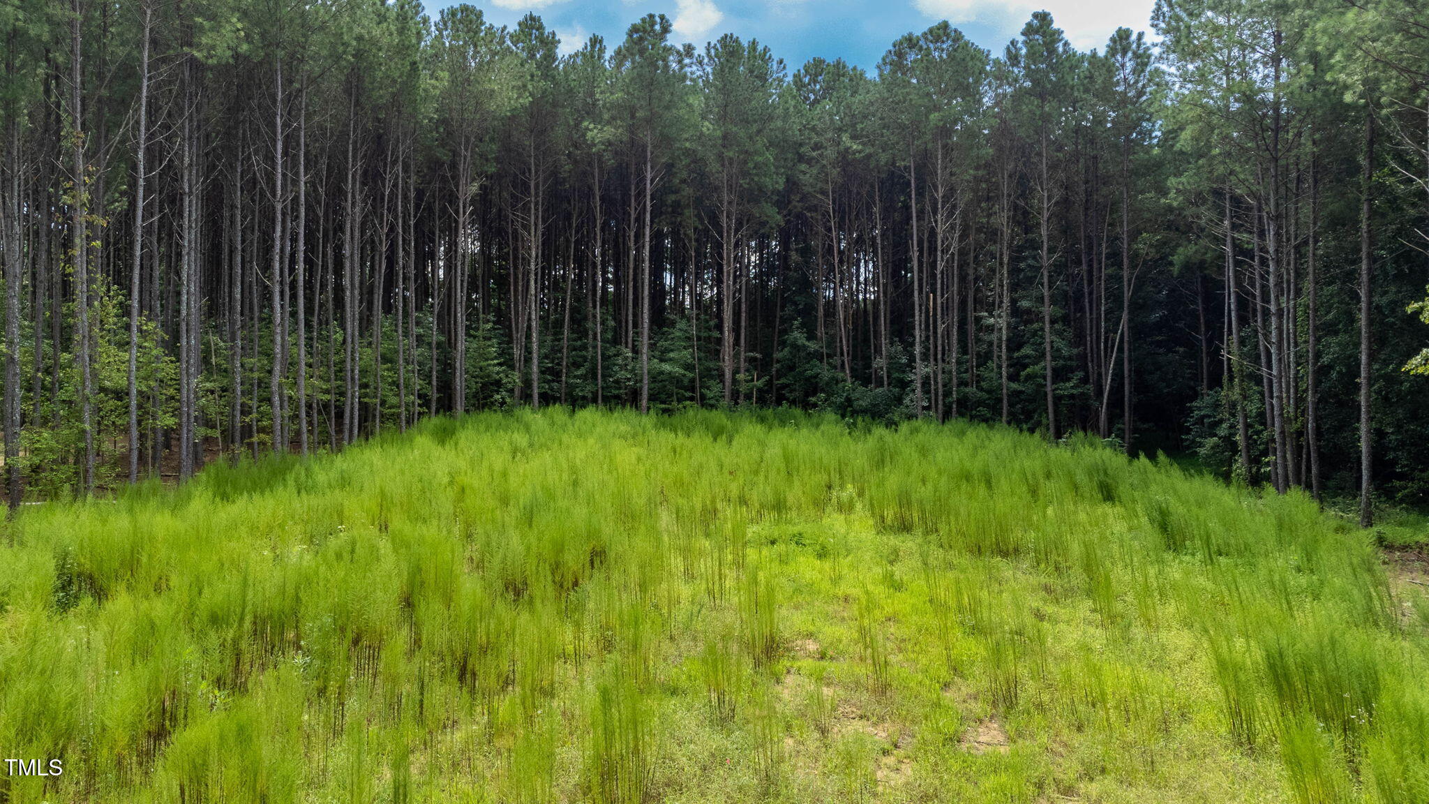 176 Dogeye Road Benson, NC 27504 - Photo 9 of 19 9-web-or-mls-DJI_0801-HDR
