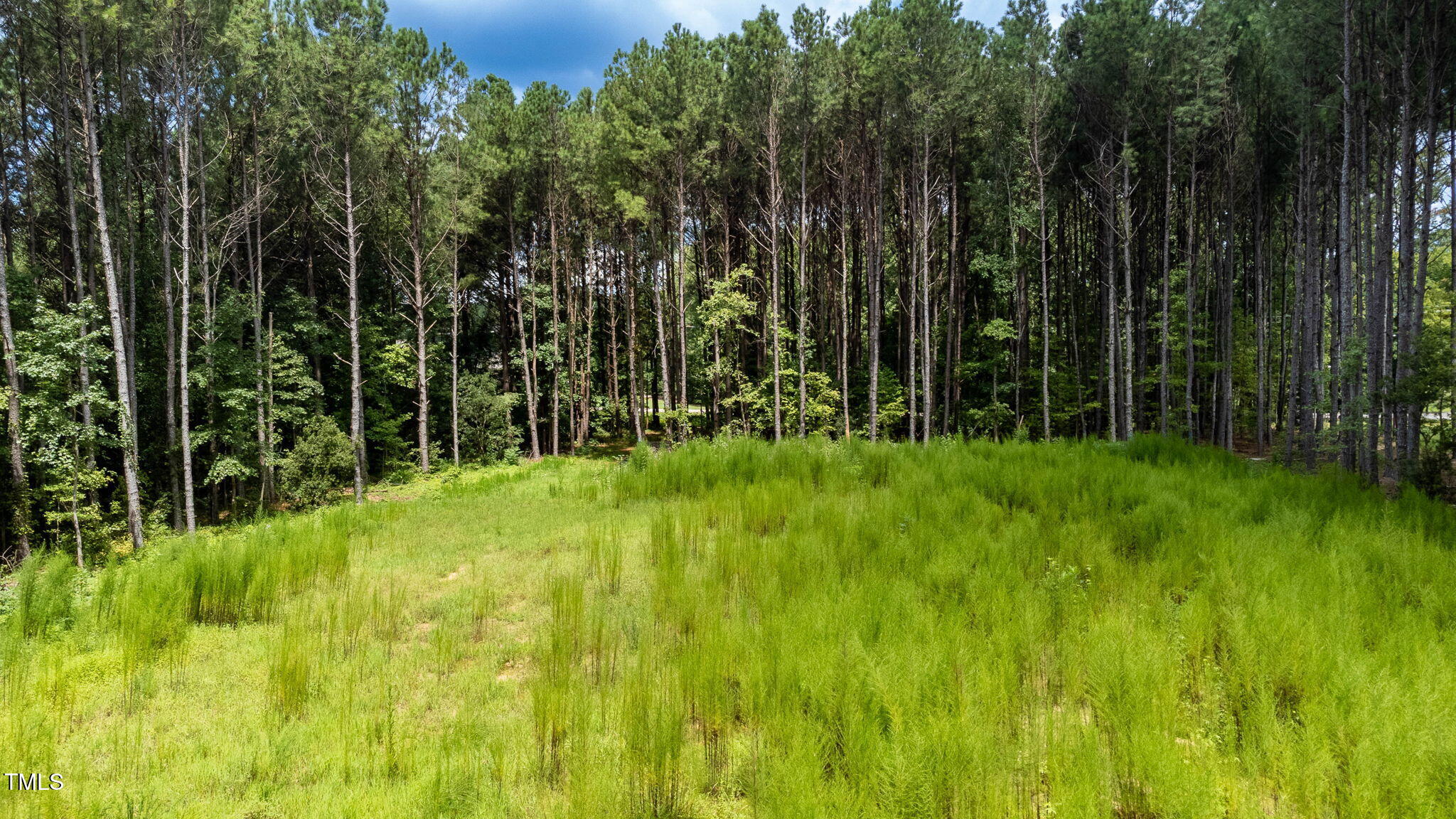 176 Dogeye Road Benson, NC 27504 - Photo 10 of 19 10-web-or-mls-DJI_0804-HDR