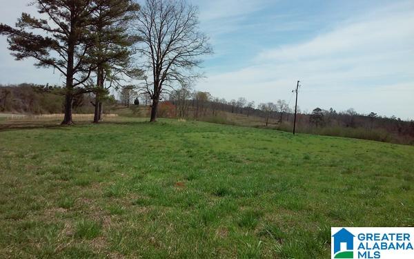 40 County Road, Unit 11 Woodland, AL 36280 - Photo 5 of 6