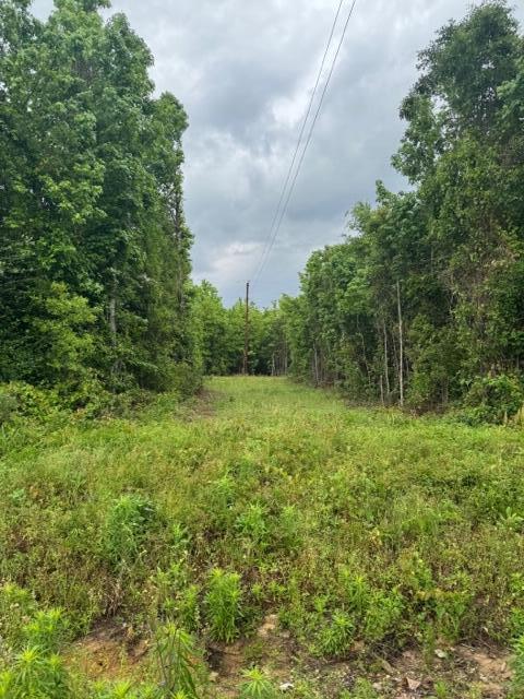 Shirley Loop Deridder, LA 70634 - Photo 1 of 1 Gallery Image 1