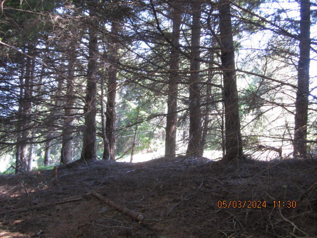 232 Nob Hill Road Shelter Cove, CA 95589 - Photo 7 of 20
