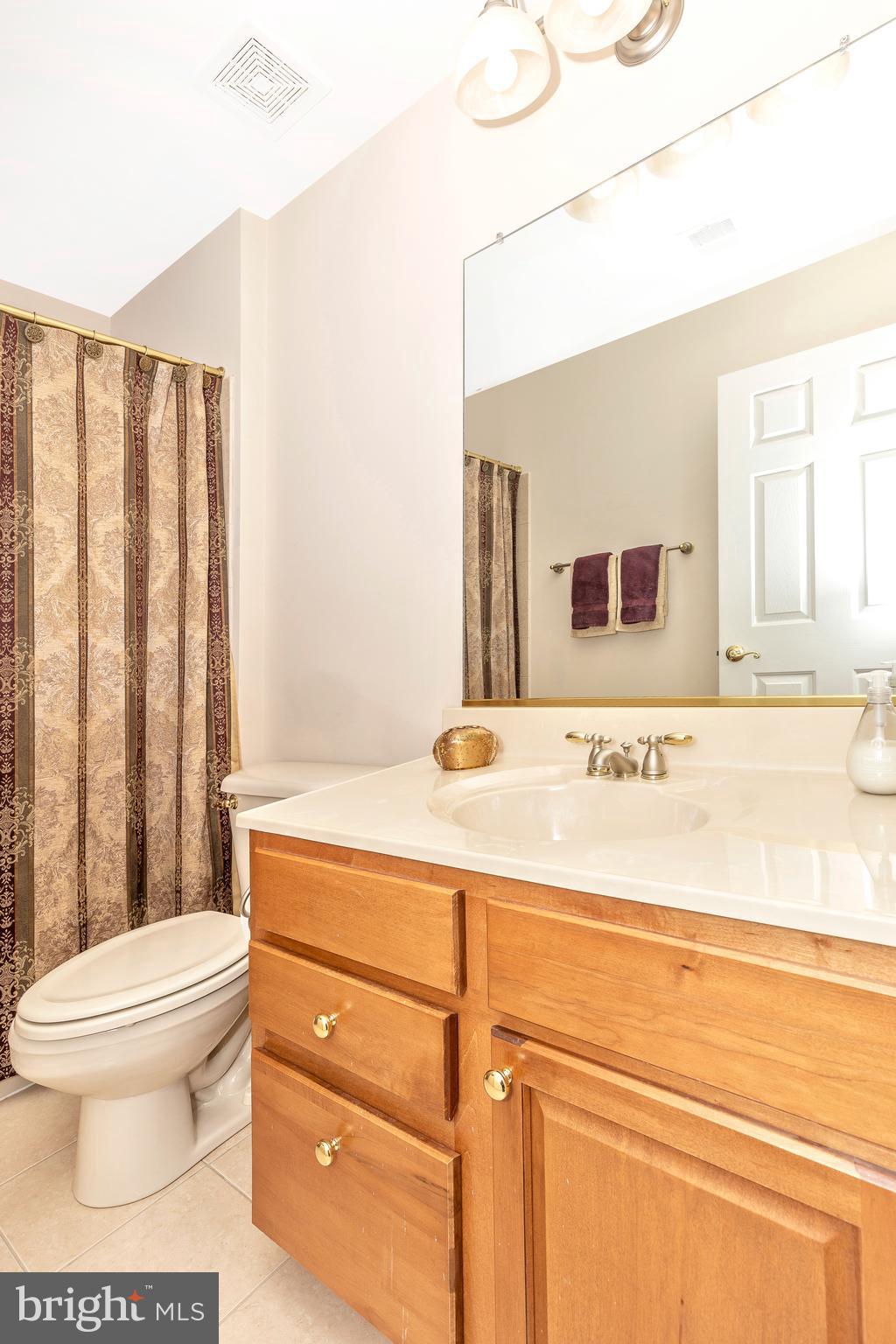 14513 Bubbling Spring Road Boyds, MD 20841 - Photo 29 of 57 a bathroom with a sink a toilet and mirror