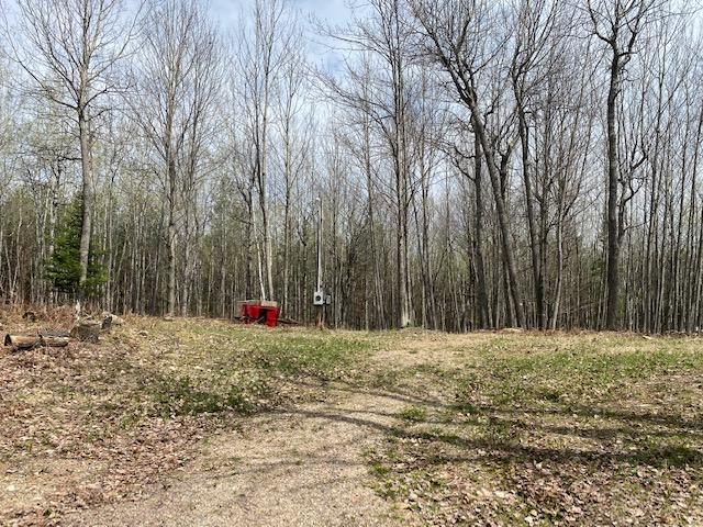 4722 Stella Lake Road Rhinelander, WI 54501 - Photo 17 of 23 Gallery Image 17