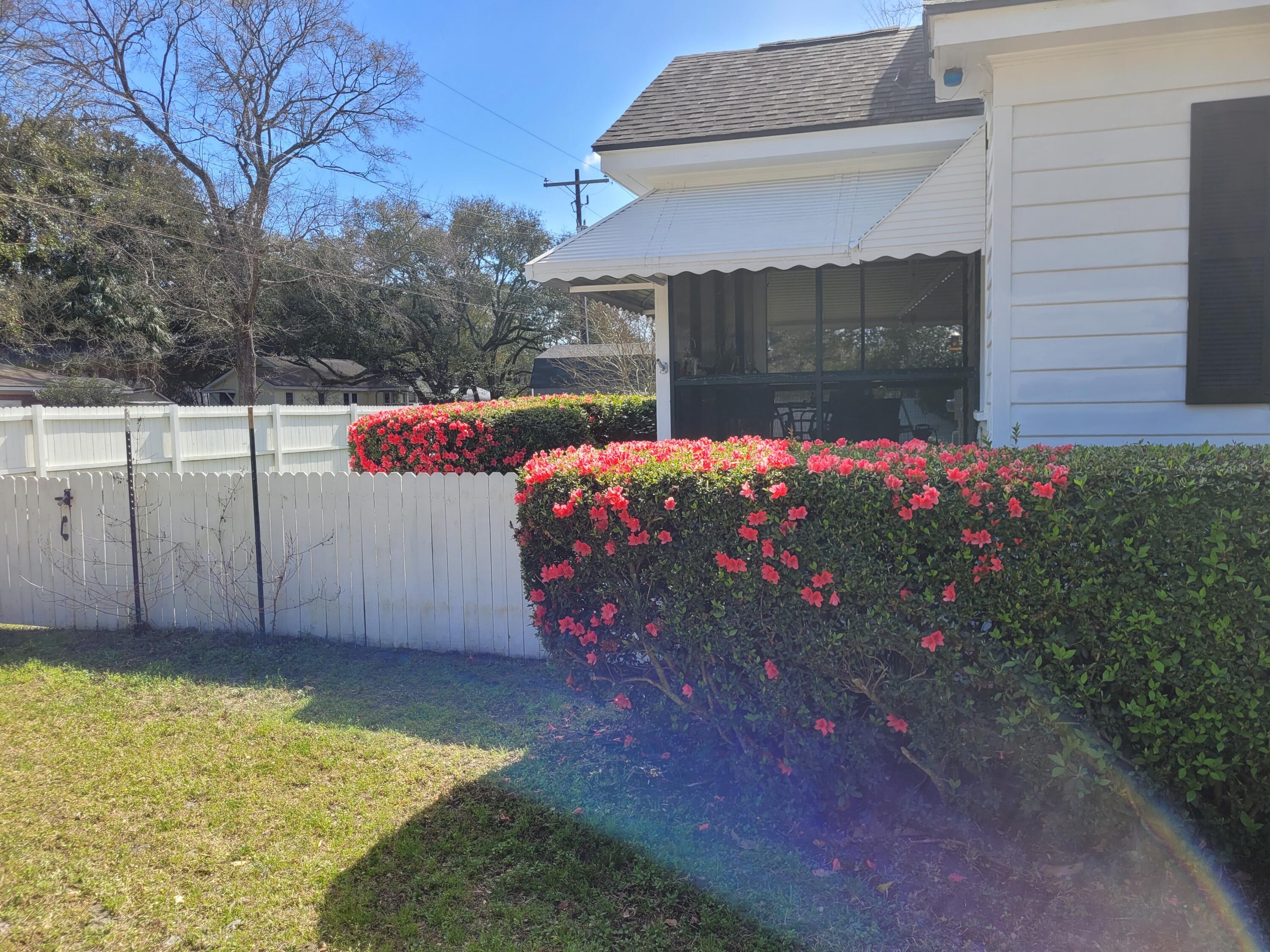 1707 Jessamine Road Charleston, SC 29407 - Photo 37 of 47 Azaleas in bloom