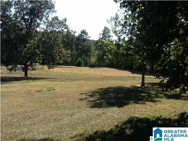 1551 Hagood Mtn Road Morris, AL 35116 - Photo 20 of 32