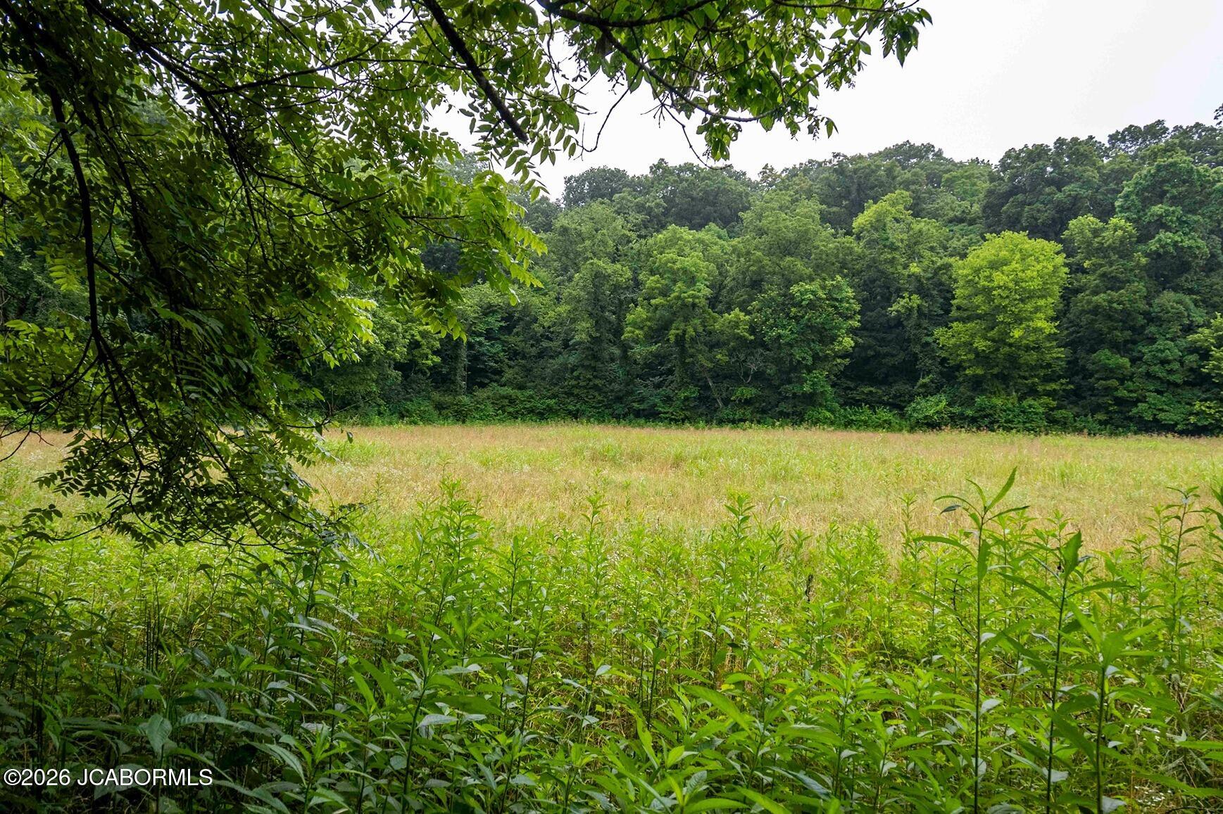 Tbd Talley Road Hartsburg, MO 65039 - Photo 35 of 106