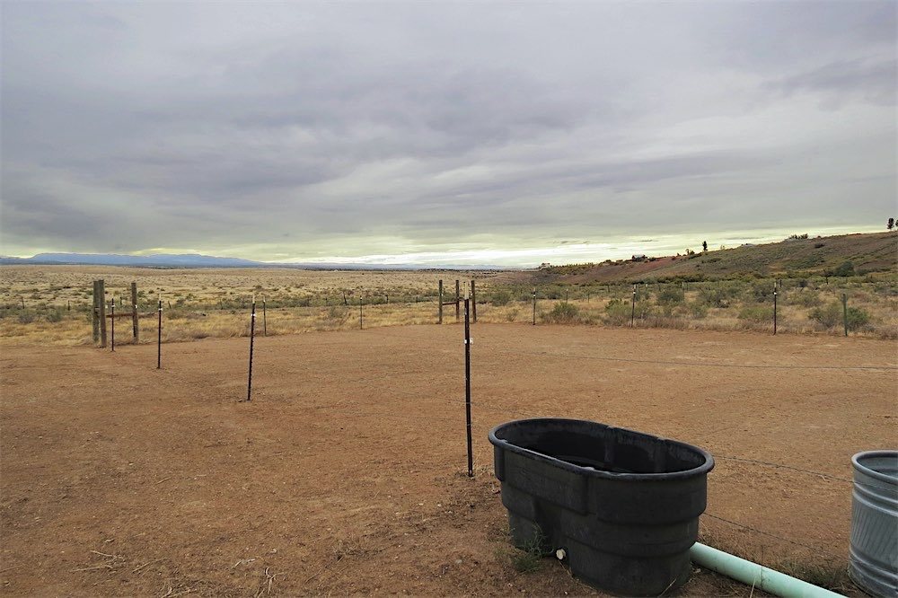 7891 Bean Ranch Road Whitewater, CO 81527 - Photo 23 of 28 Gallery Image 23