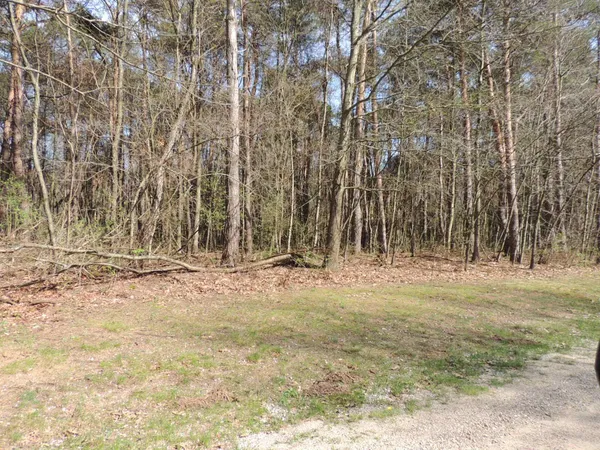 $1,700,000 | 6342 Old Allegan Road, Saugatuck, MI 49453