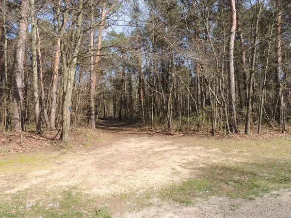 $1,700,000 | 6342 Old Allegan Road, Saugatuck, MI 49453