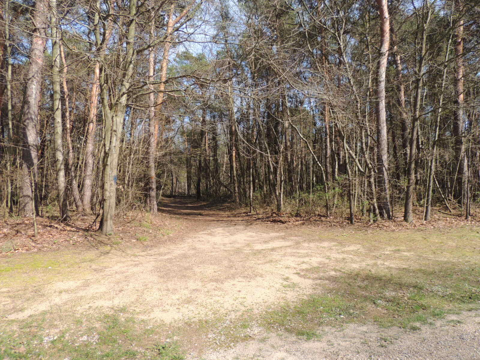 6342 Old Allegan Road Saugatuck, MI 49453 - Photo 55 of 58 DSCN4611