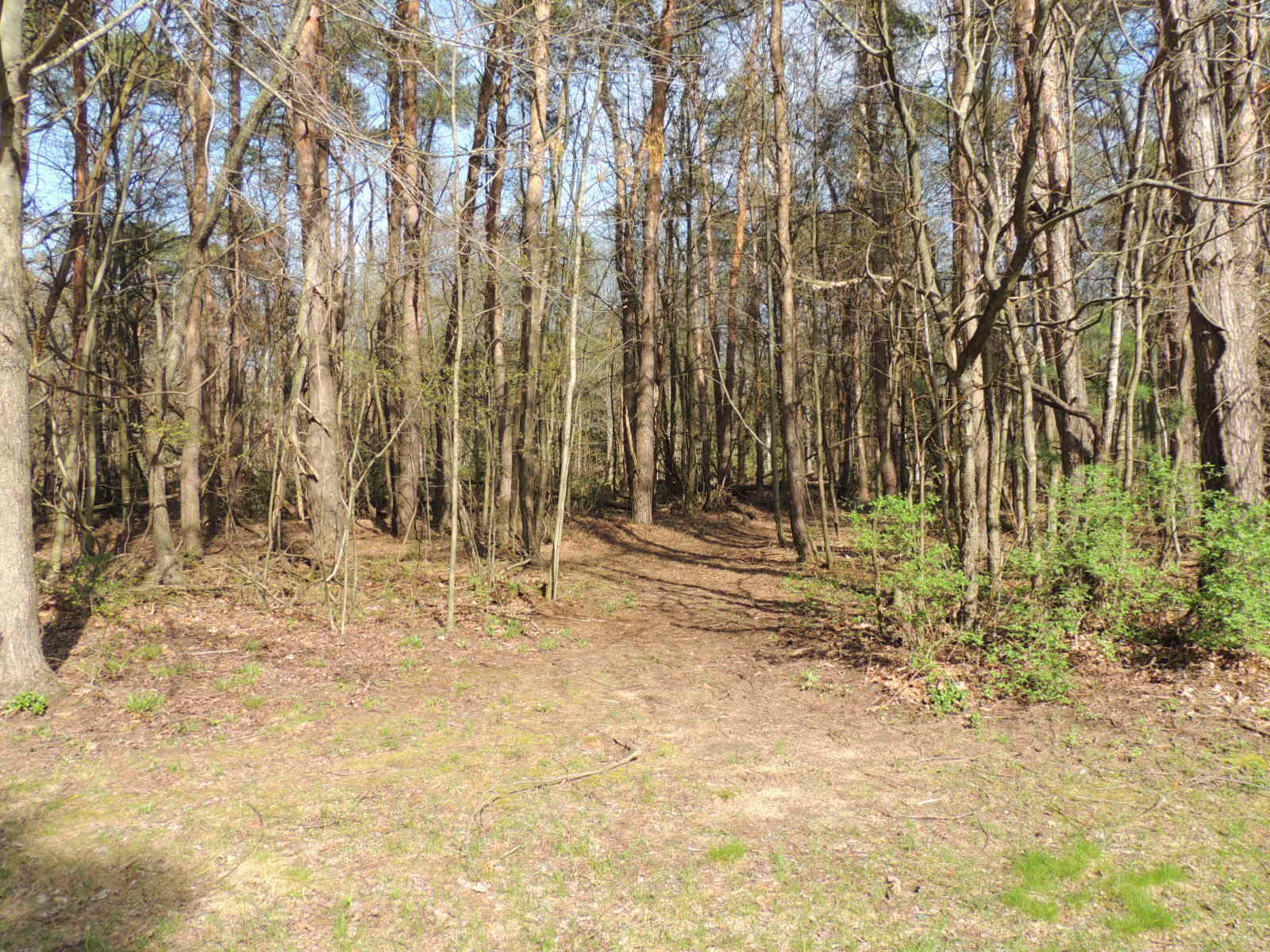 6342 Old Allegan Road Saugatuck, MI 49453 - Photo 56 of 58 DSCN4613