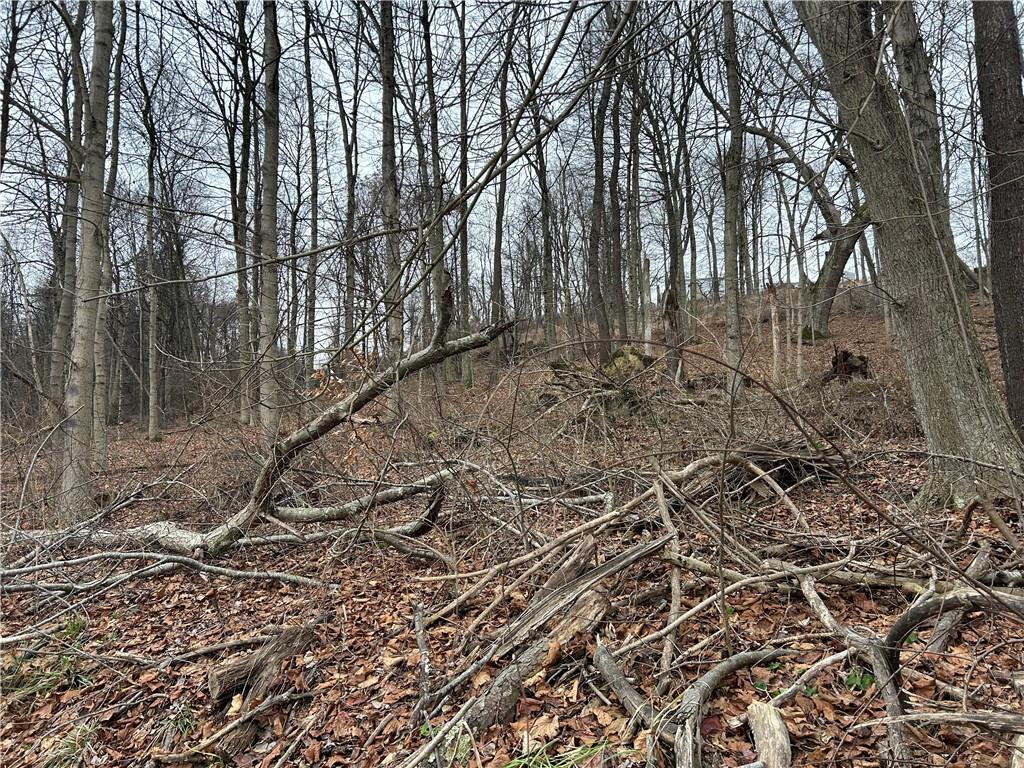 Bieda Lot Davis School Road Washington, PA 15301 - Photo 3 of 6 Gallery Image 3