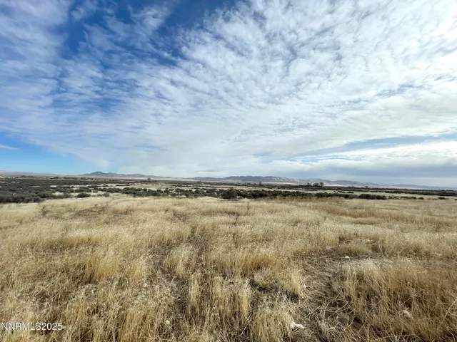 a picture of a black and white wall