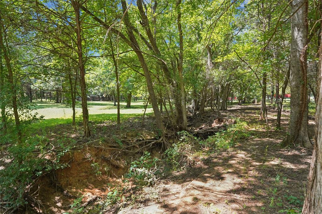 1433 Old Sadler Road Sadler, TX 76264 - Photo 36 of 40