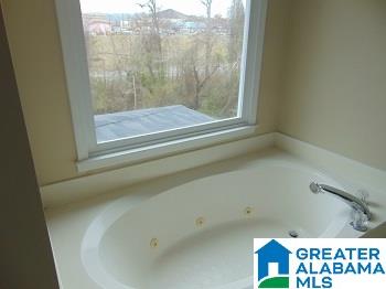 248 Wagon Trail Alabaster, AL 35007 - Photo 18 of 25