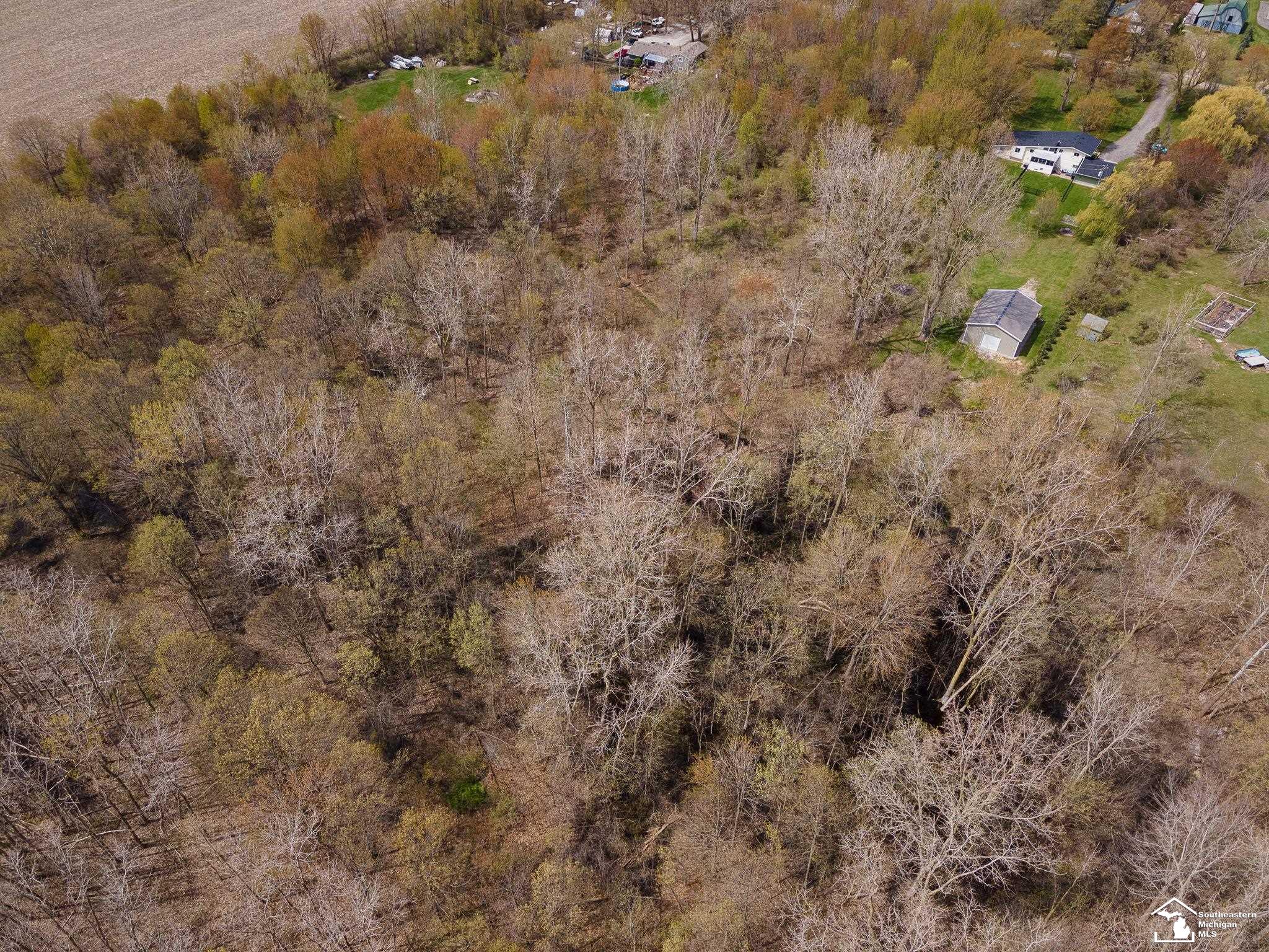 13443 Sherman Road Milan, MI 48160 - Photo 65 of 66 50107543-64.JPG